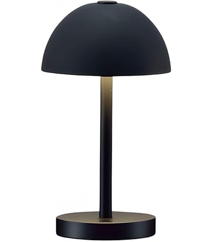 Amazon | 大光電機 DAIKO LED間接照明用器具 LED内蔵 L=1139mm 電源